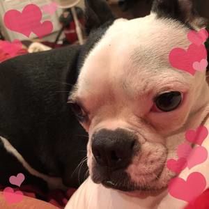 Meet your Posher, Christy